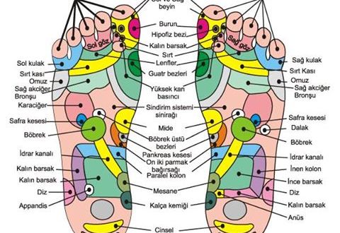 Refleksoloji masajı 